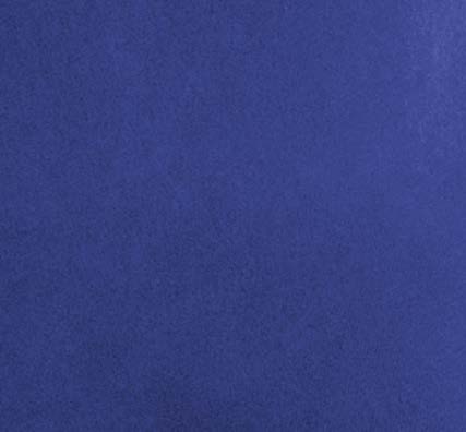 Blue Iris